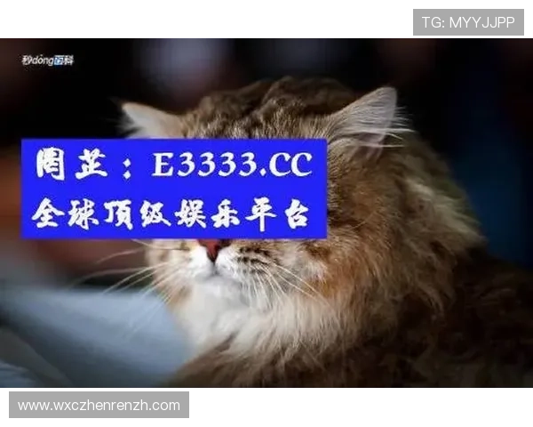 专业分析AG真人网址选择技巧，确保玩家在正规平台上享受优质游戏体验