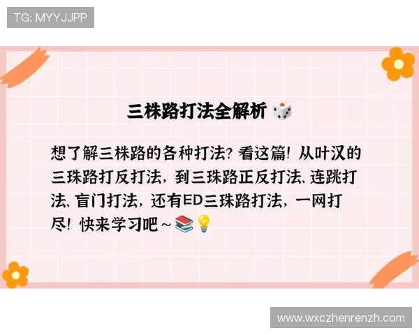 三珠路的高效打法指南帮助新手快速入门并实现战斗突破